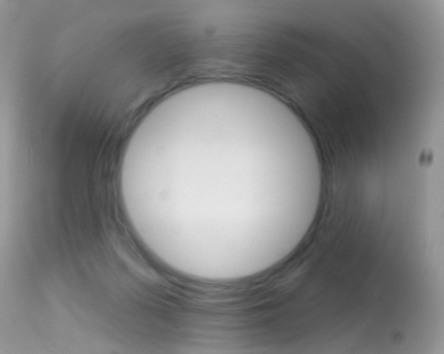 X0000113630215200909181313