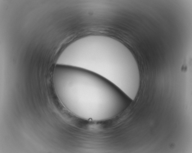X0000113630216200909181313