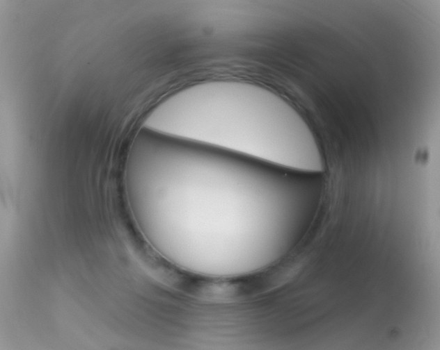 X0000113630217200909181313
