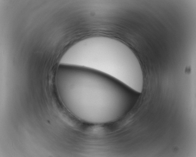 X0000113630219200909181313