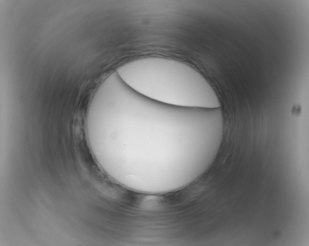 X0000113630222200909181312