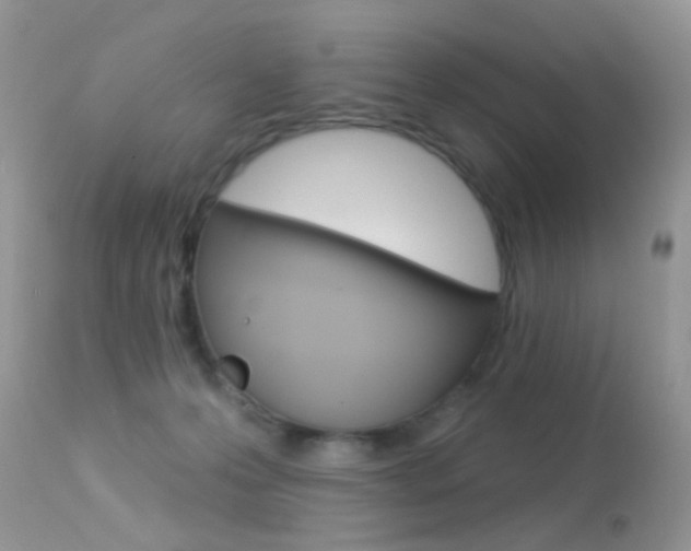 X0000113630223200909181312