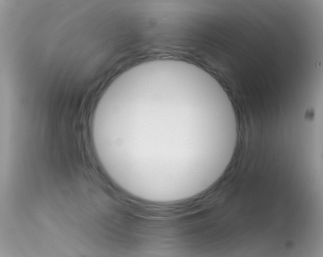 X0000113630225200909181312