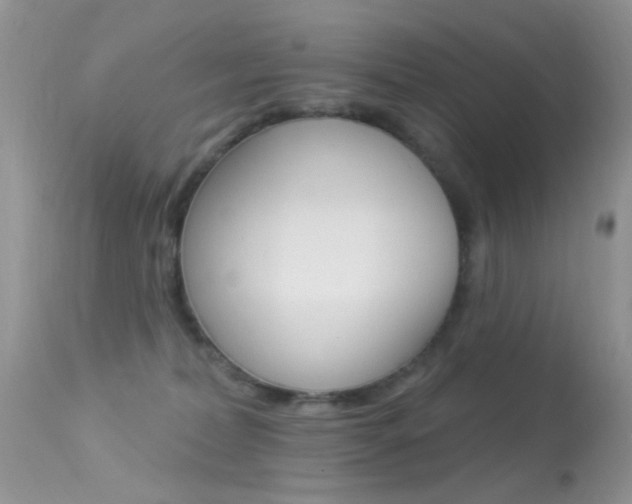 X0000113630228200909181312