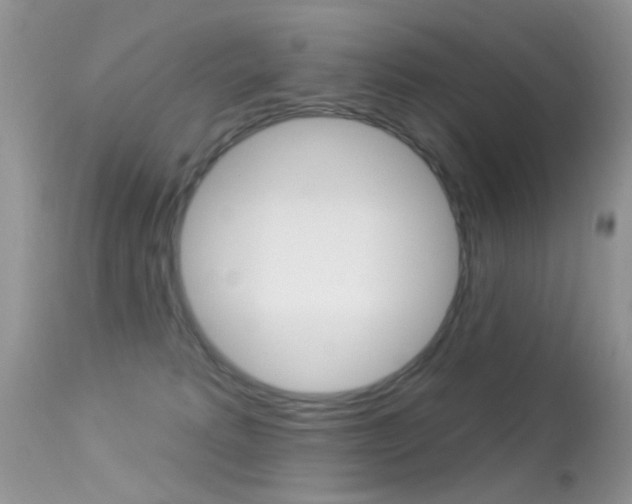 X0000113630229200909181312