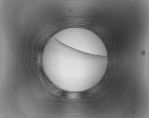 X0000113630230200909181312