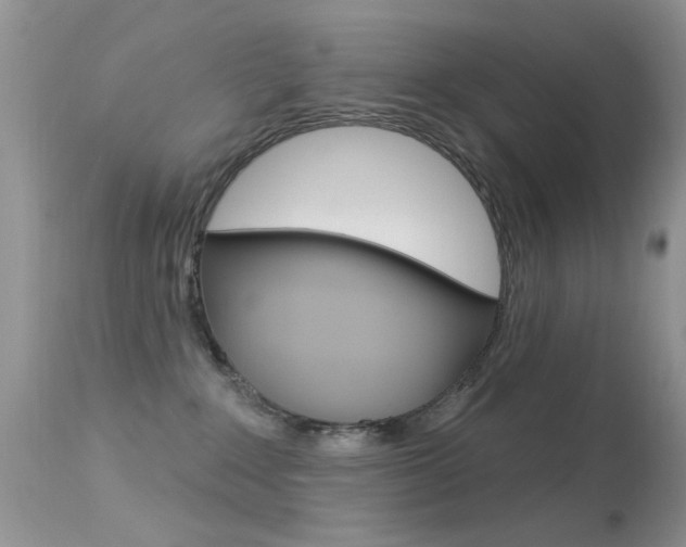 X0000113630235200909181312