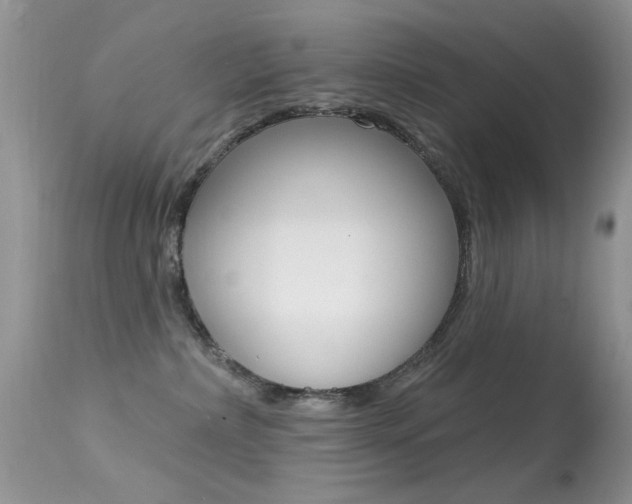 X0000113630236200909181312