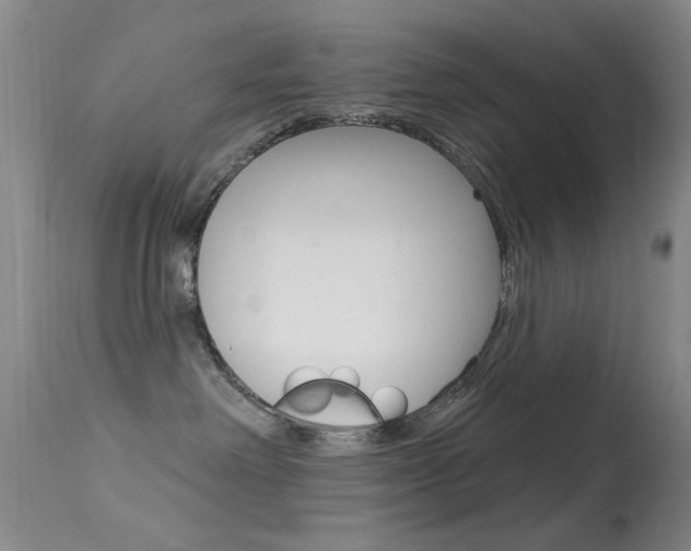 X0000113630238200909181312