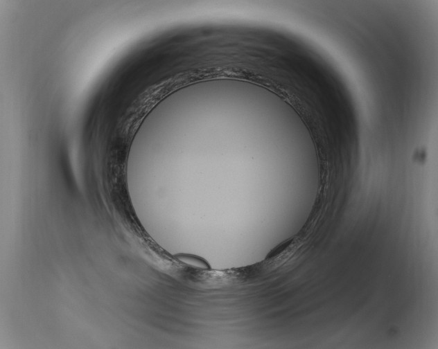 X0000113630239200909181312