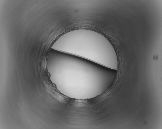 X0000113630240200909181312