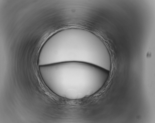 X0000113630241200909181311