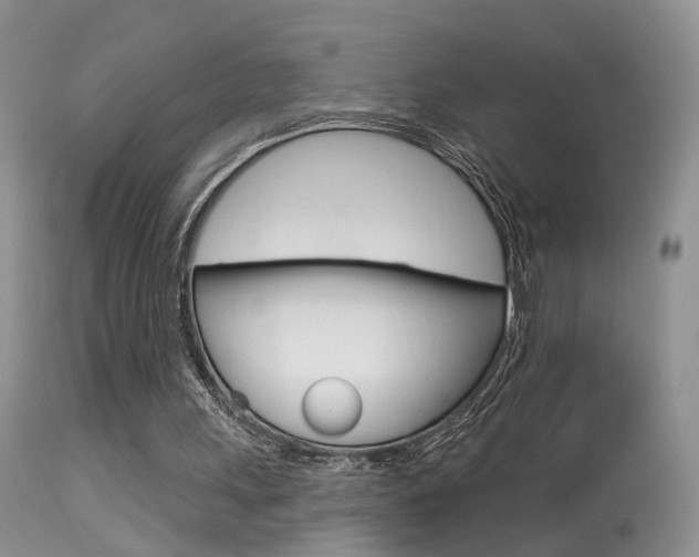 X0000113630243200909181311
