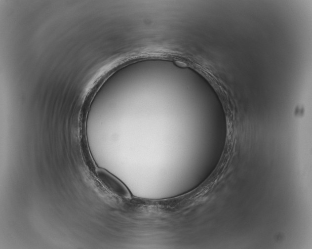 X0000113630244200909181311