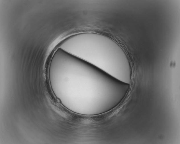 X0000113630246200909181311