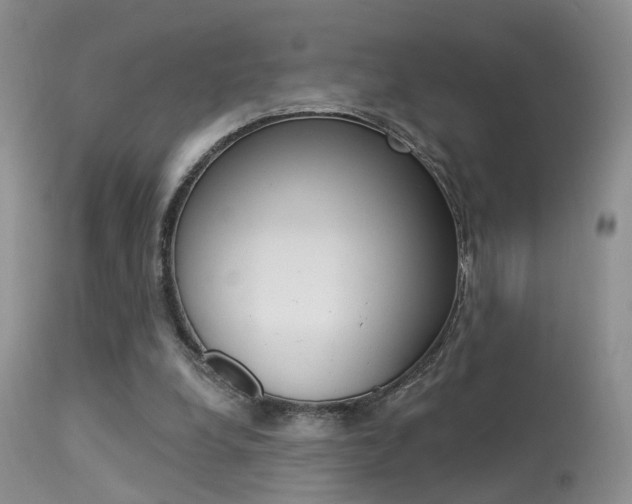 X0000113630248200909181311