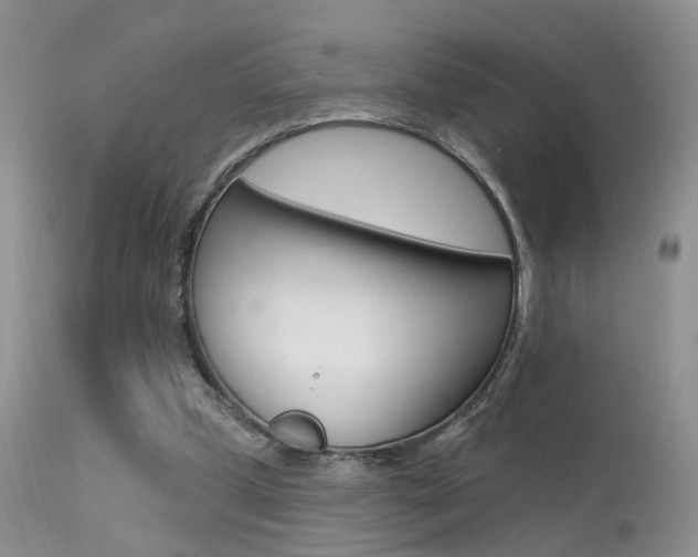 X0000113630249200909181311