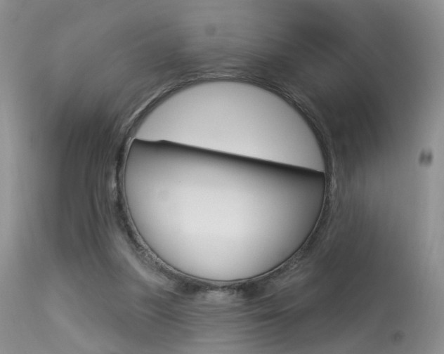X0000113630251200909181312