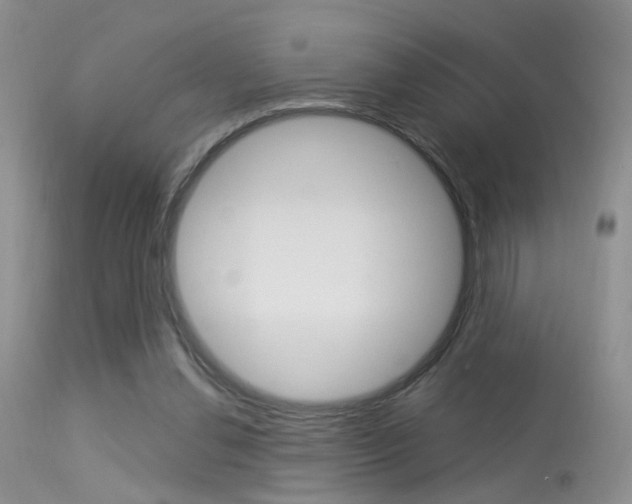 X0000113630252200909181312