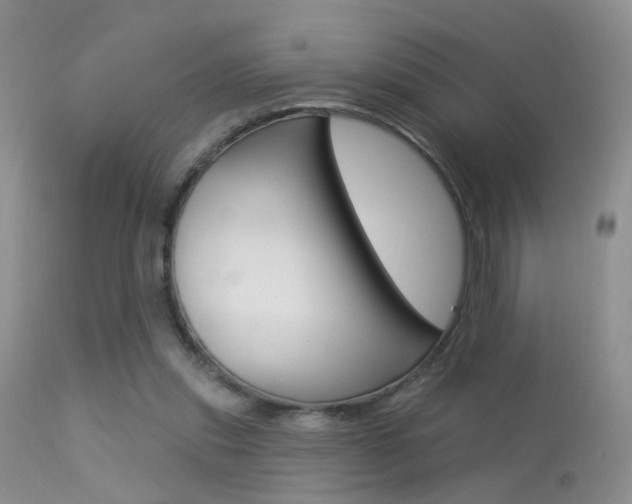 X0000113630253200909181312
