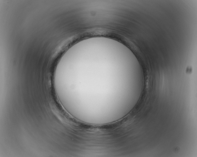 X0000113630254200909181312