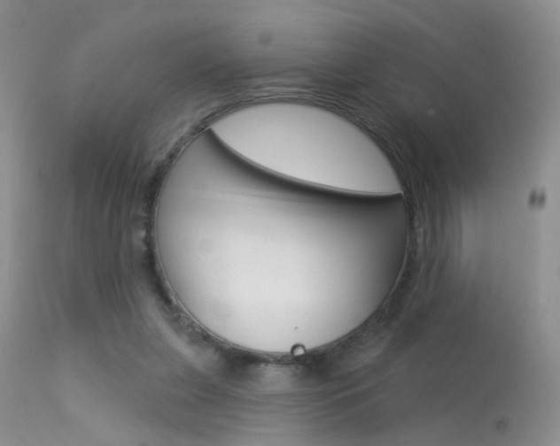 X0000113630255200909181312