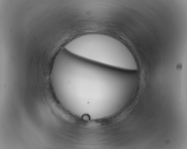 X0000113630257200909181312