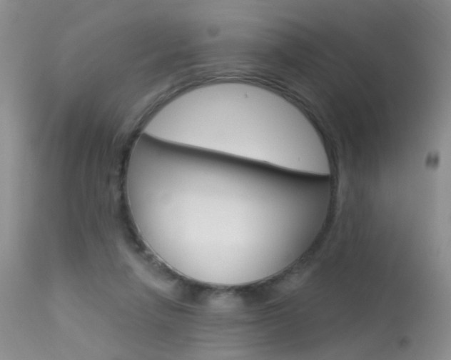 X0000113630258200909181312
