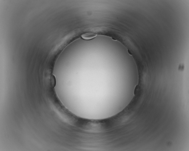 X0000113630260200909181312