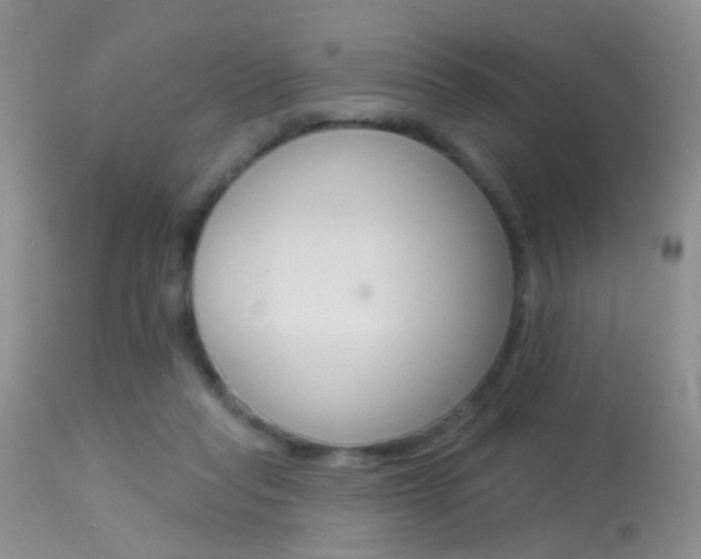 X0000113630261200909181312