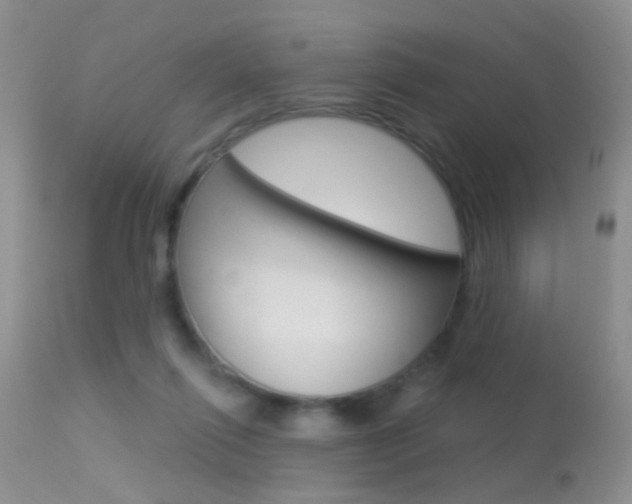 X0000113630262200909181312