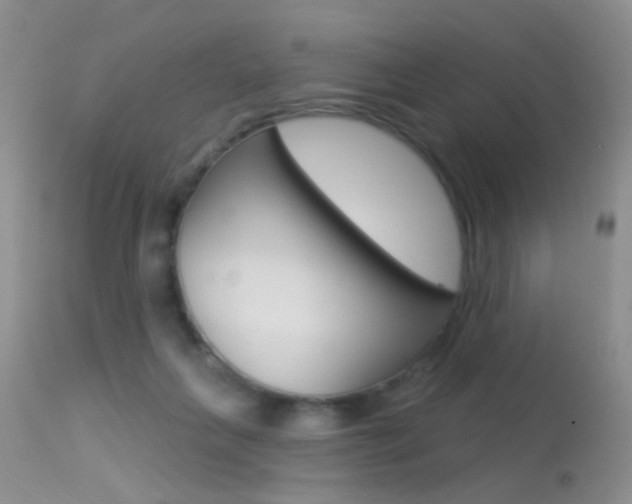 X0000113630263200909181312