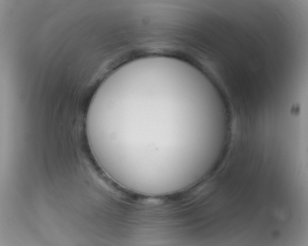 X0000113630265200909181312