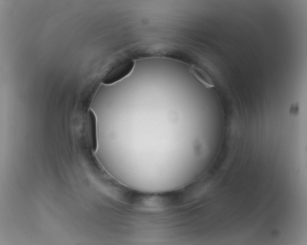 X0000113630268200909181312