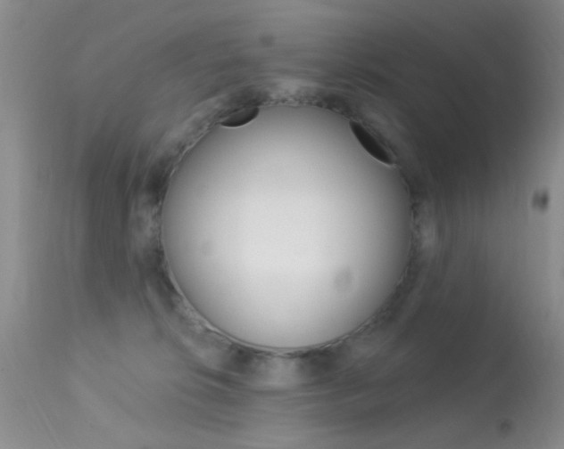 X0000113630276200909181312