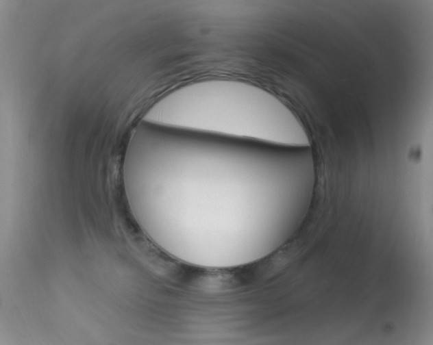 X0000113630278200909181312