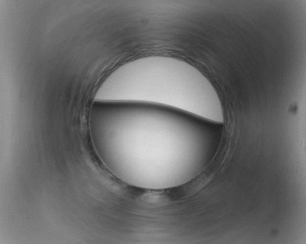 X0000113630280200909181312