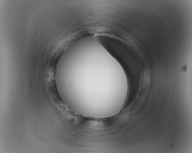 X0000113630284200909181312