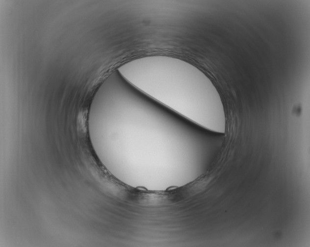 X0000113630286200909181312