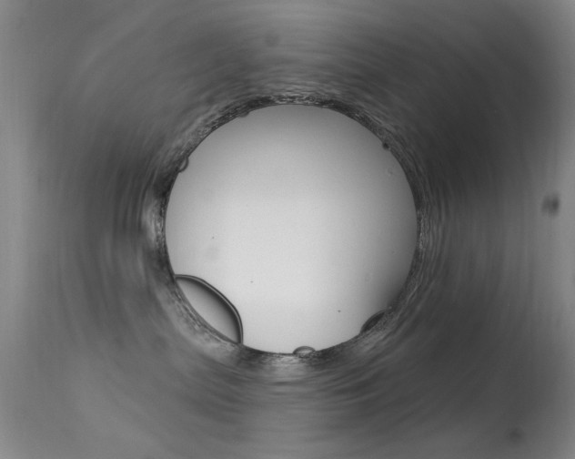 X0000113630287200909181312