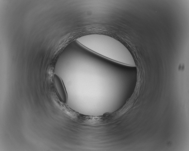 X0000113630288200909181312