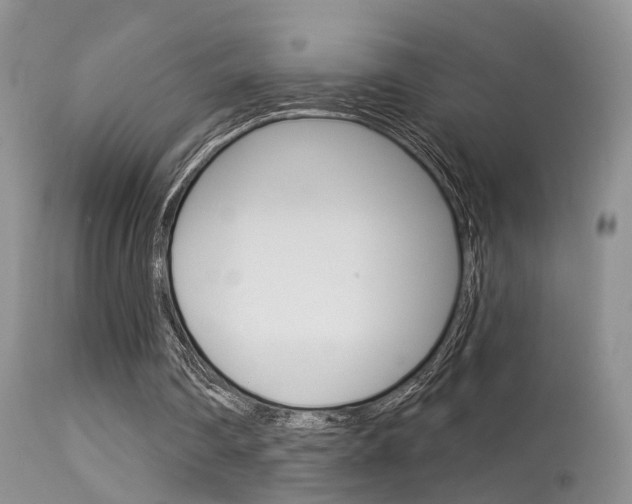 X0000113630290200909181311