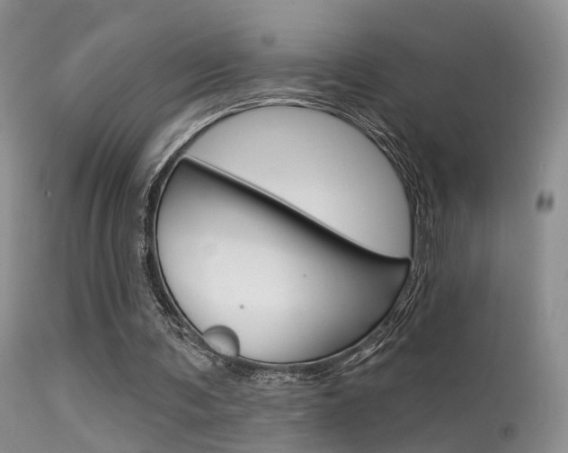 X0000113630291200909181311