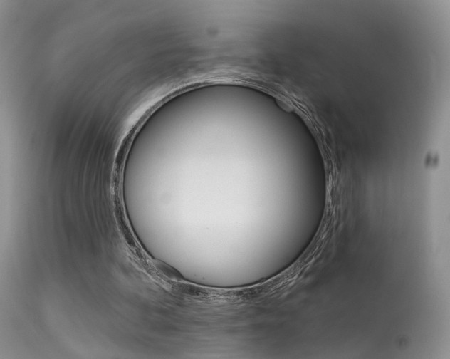 X0000113630292200909181311