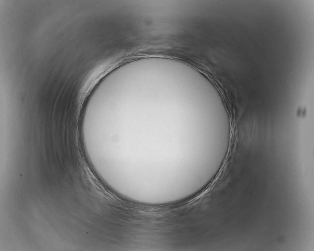 X0000113630293200909181311