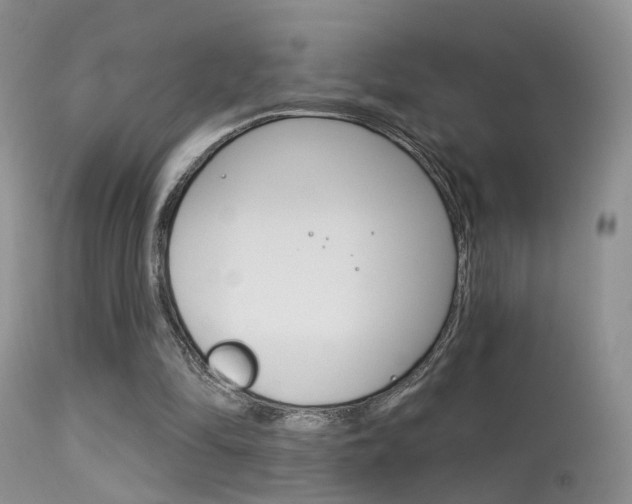 X0000113630294200909181311