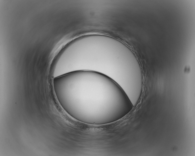 X0000113630296200909181311
