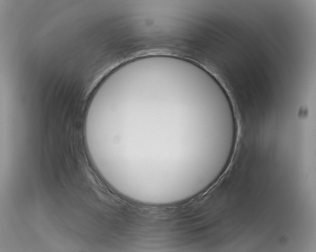 X0000113630297200909181311