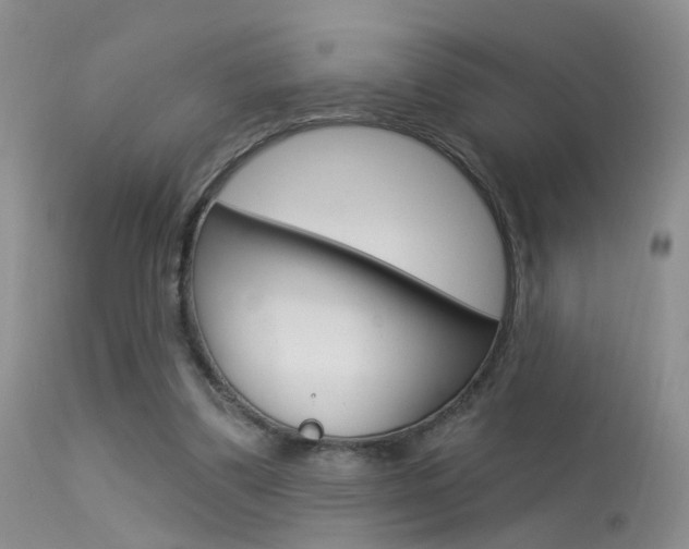 X0000113630299200909181311