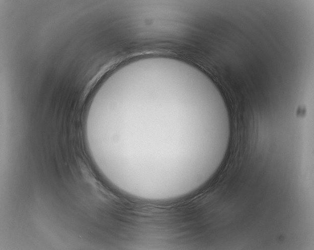 X0000113630300200909181311